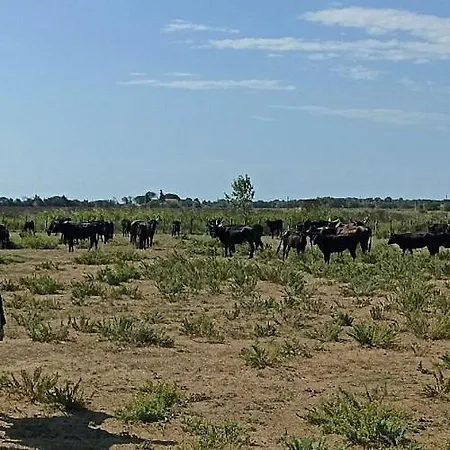Appartamento Un Coin De Campagne Grand Près De La Pour 2 à 6 Personnes *