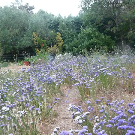 Un Coin De Campagne Grand Près De La Pour 2 à 6 Personnes Appartamento Portiragnes